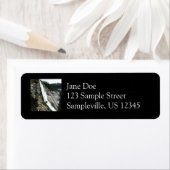 Nevada-Herfsten in Yosemite National Park Etiket (Insitu)