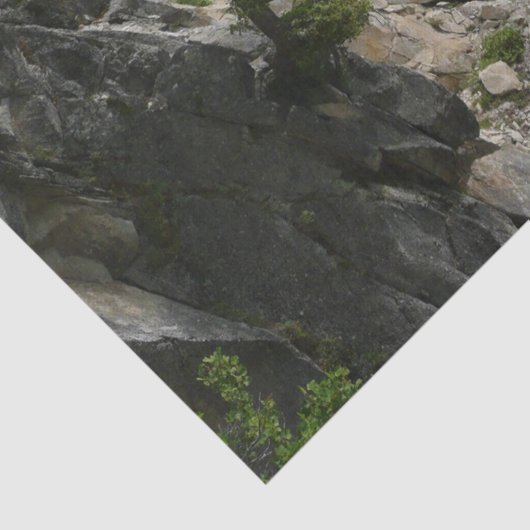 Nevada-Herfsten in Yosemite National Park Tissuepapier (Detail)