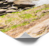 Nevada Herfsten Poster (Hoek)