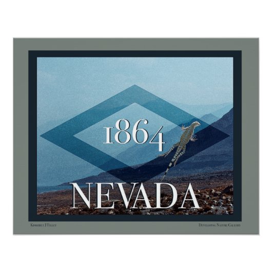 Nevada Landscape Poster (Voorkant)