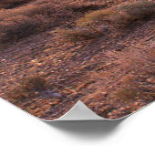 Nevada Pyramid Lake Sunrise Poster (Hoek)