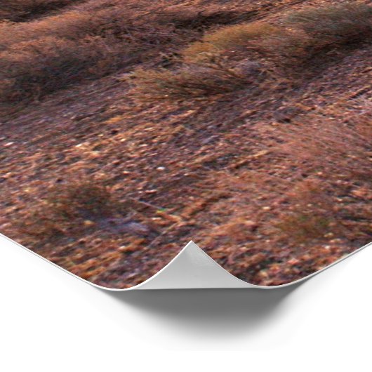 Nevada Pyramid Lake Sunrise Poster (Hoek)