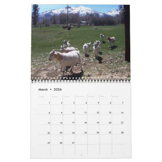 Nevada Ranch Life Kalender (Mar 2026)