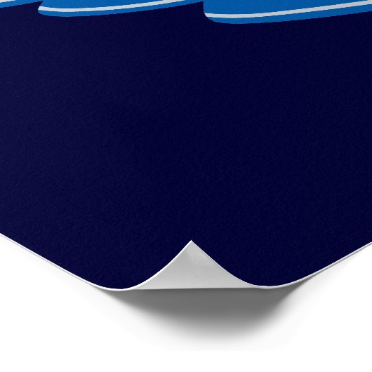 Nevada Seal Poster (Hoek)