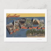 Nevada (Staatskapitaal/Bloem) Briefkaart (Voorkant)