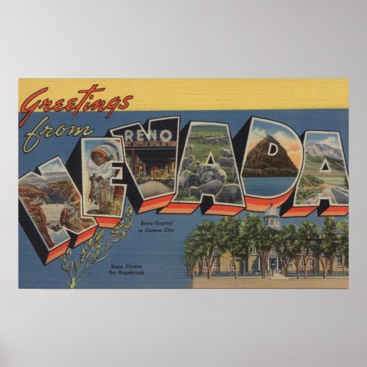 Nevada (Staatskapitaal/Bloem) Poster (Voorkant)
