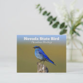 Nevada State Bird Briefkaart (Staand voorkant)