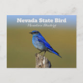 Nevada State Bird Briefkaart (Voorkant)