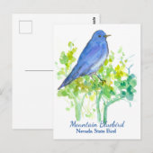 Nevada State Bird Mountain Bluebird Briefkaart (Voorkant / Achterkant)