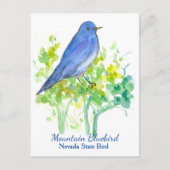 Nevada State Bird Mountain Bluebird Briefkaart (Voorkant)
