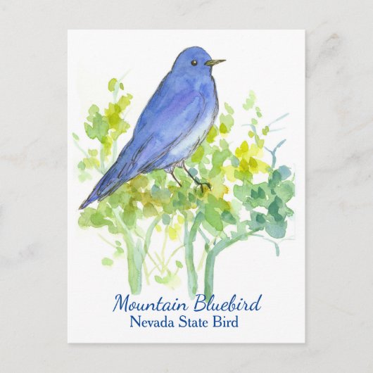 Nevada State Bird Mountain Bluebird Briefkaart (Voorkant)