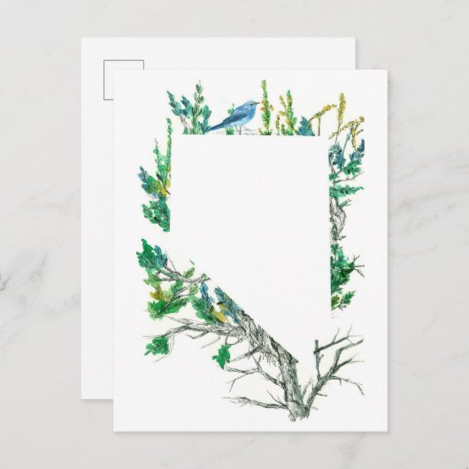 Nevada State Bloem Sagebrush Mountain Bluebird Briefkaart (Voorkant / Achterkant)