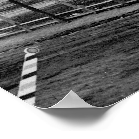 Nevada State Capitol 36x24 Print (Hoek)