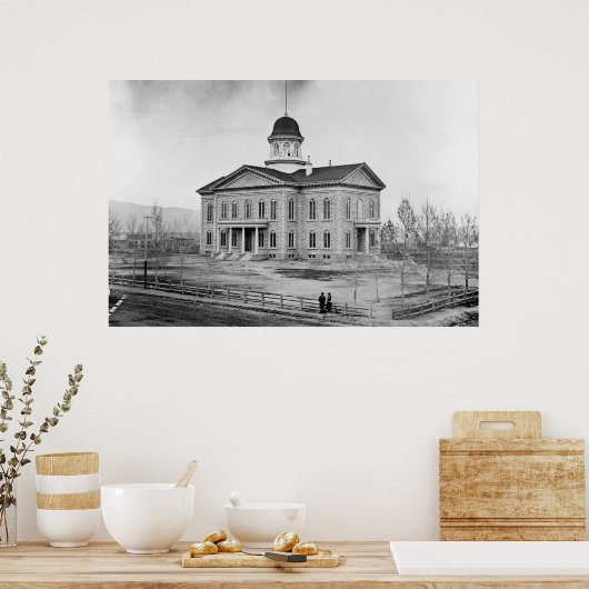 Nevada State Capitol 36x24 Print (Keuken)