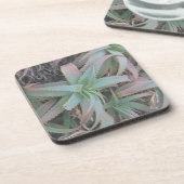 Nevada succulenten bier onderzetter (Linkerzijde)
