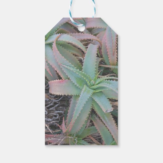 Nevada succulenten cadeaulabel (Achterkant)