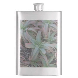 Nevada succulenten       flacon