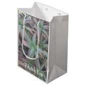 Nevada succulenten       medium cadeauzakje (Voorkant Gekanteld)