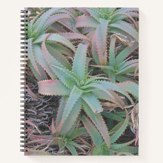 Nevada succulenten notitieboek (Voorkant)
