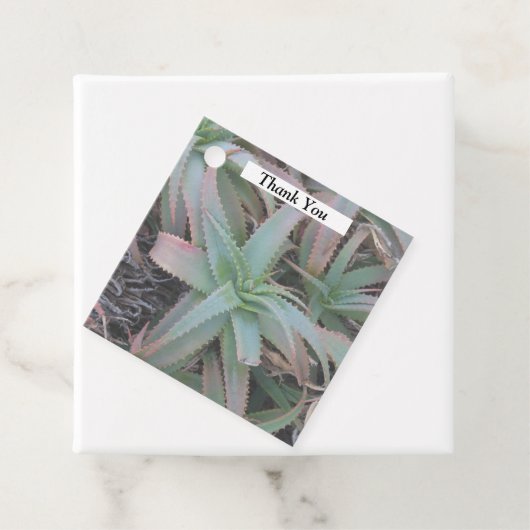 Nevada succulents bedankjes labels (In situ)