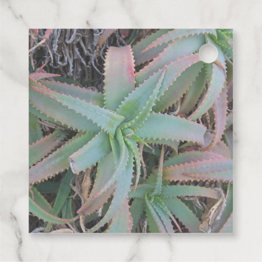 Nevada succulents bedankjes labels (Achterkant)