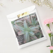 Nevada succulents bedankzakje (Gezegeld)