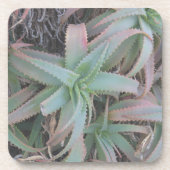 Nevada succulents bier onderzetter (Voorkant)