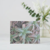 Nevada succulents briefkaart (Staand voorkant)