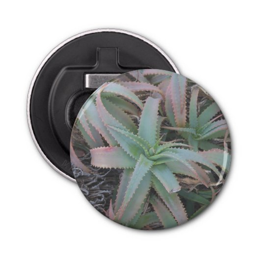 Nevada succulents button flesopener (Voorkant)