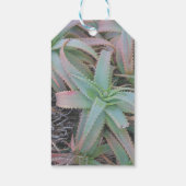 Nevada succulents cadeaulabel (Achterkant)