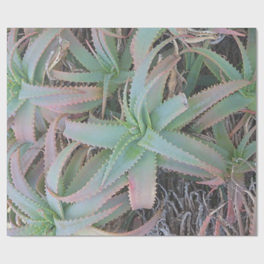 Nevada succulents cadeaupapier (Vlak)