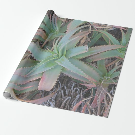 Nevada succulents cadeaupapier (Uitgerold)