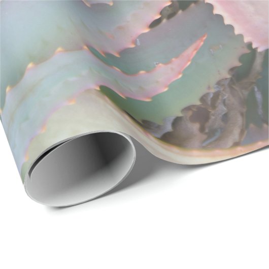 Nevada succulents cadeaupapier (Rol Hoek)