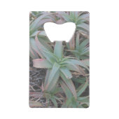 Nevada succulents creditkaart flessenopener (Voorkant)