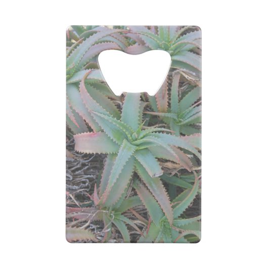 Nevada succulents creditkaart flessenopener (Achterkant)