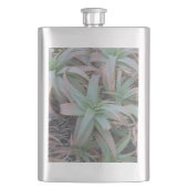 Nevada succulents flacon (Voorkant)