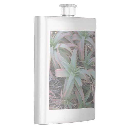 Nevada succulents flacon (Rechts)