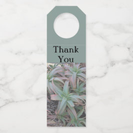 Nevada succulents flessenhanger