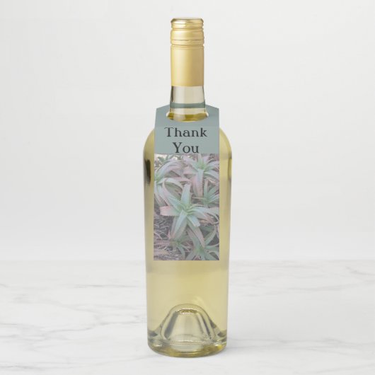 Nevada succulents flessenhanger (Op fles)