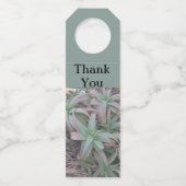 Nevada succulents flessenhanger (Voorkant)