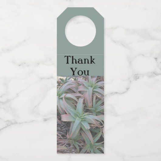 Nevada succulents flessenhanger (Voorkant)