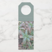 Nevada succulents flessenhanger (Achterkant)