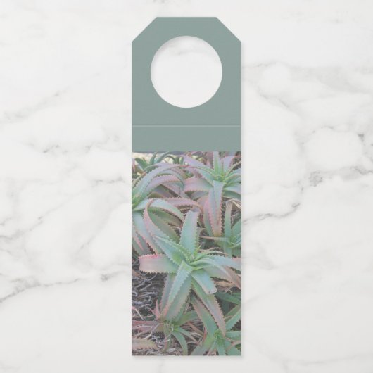 Nevada succulents flessenhanger (Achterkant)