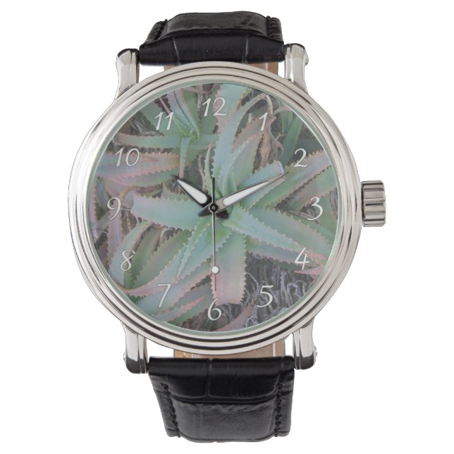 Nevada succulents horloge (Voorkant)