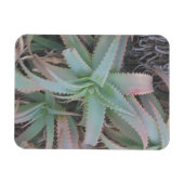 Nevada succulents magneet (Horizontaal)