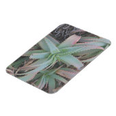 Nevada succulents magneet (Linkerzijde)