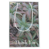 Nevada succulents medium cadeauzakje (Voorkant)