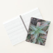 Nevada succulents notitieboek (Binnen)