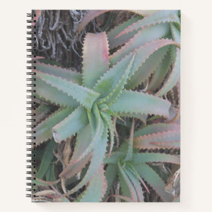 Nevada succulents notitieboek