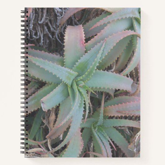 Nevada succulents notitieboek (Voorkant)